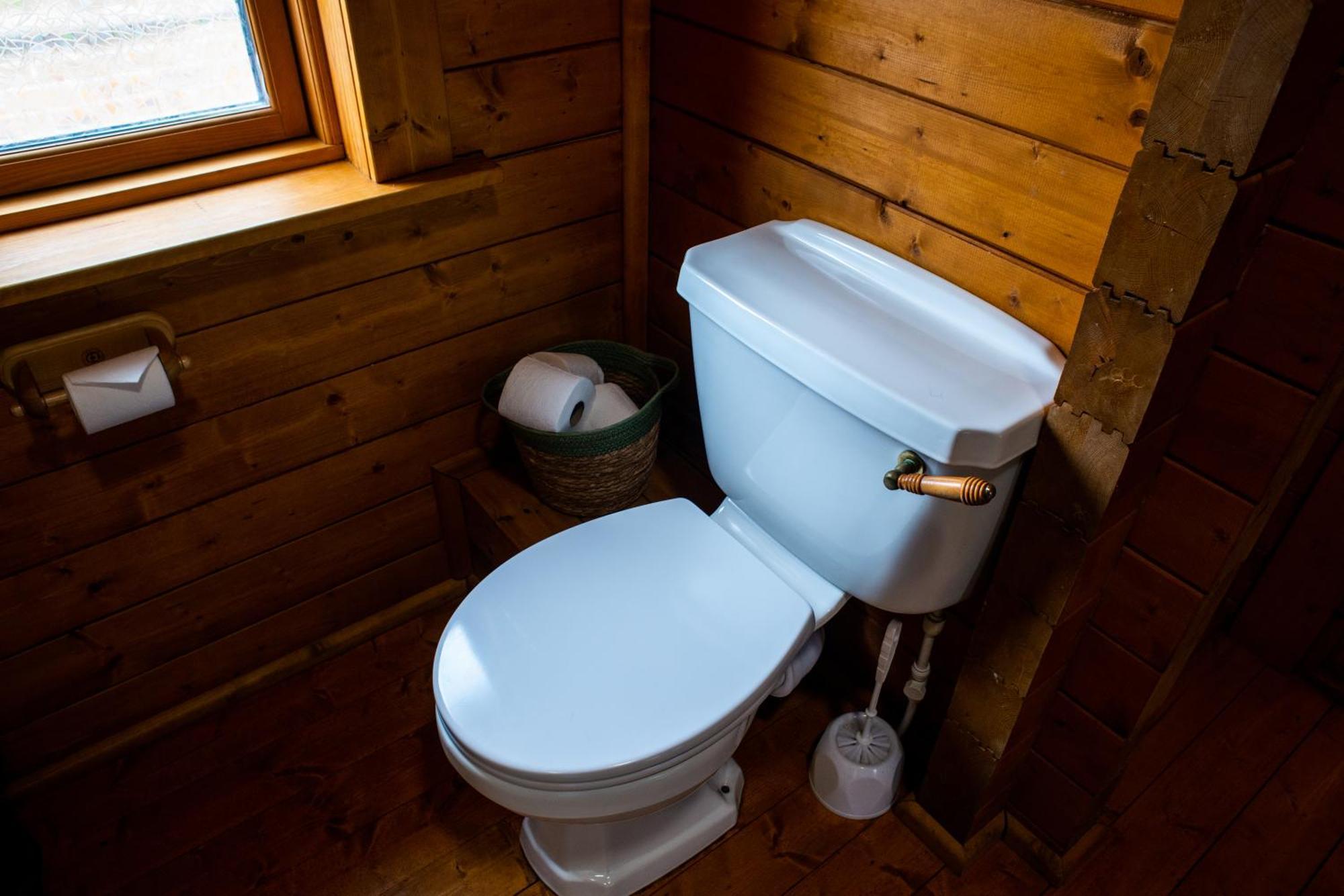 Cherry Cabin - Little Log Cabin In Wales Bettws Cedewain Εξωτερικό φωτογραφία