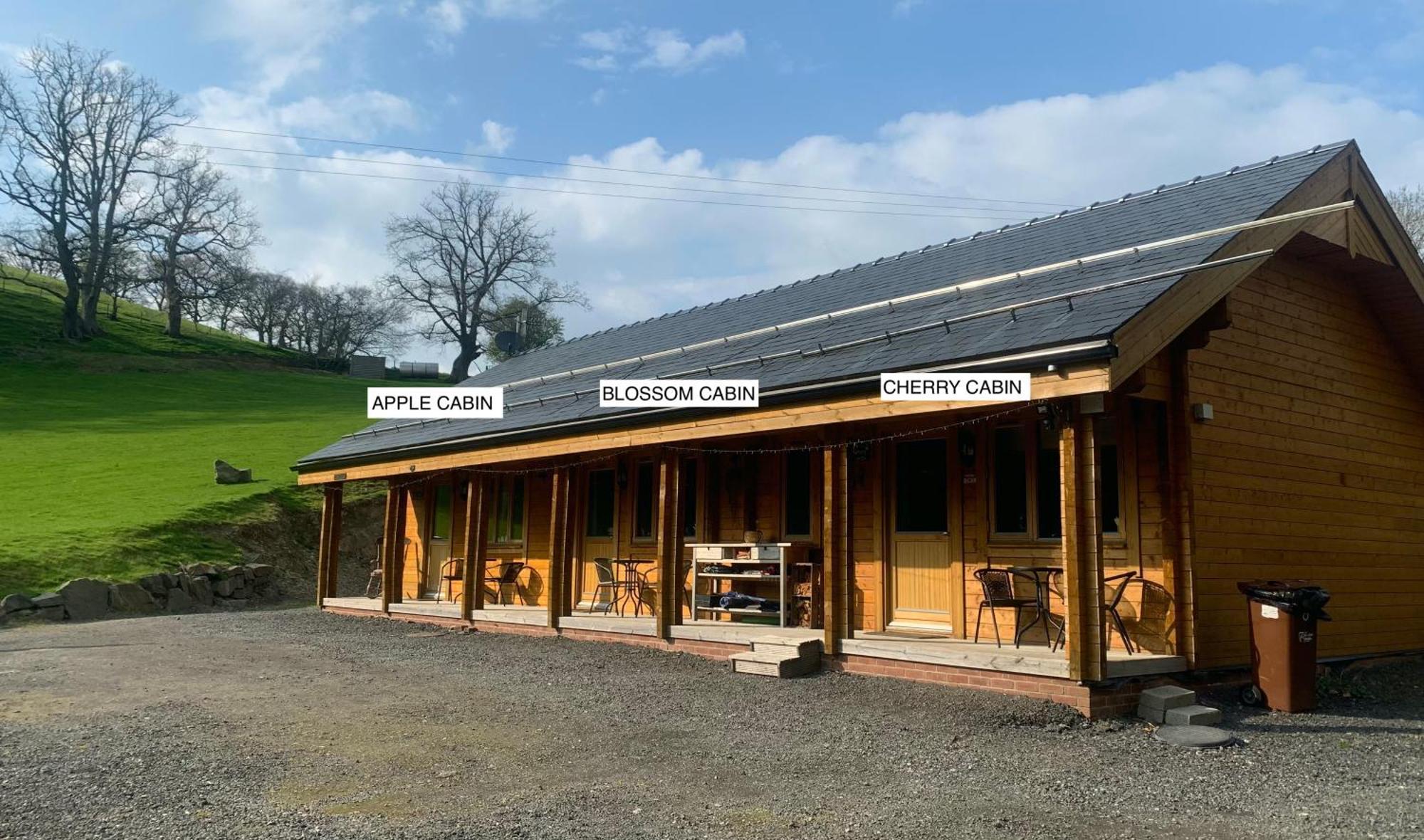 Cherry Cabin - Little Log Cabin In Wales Bettws Cedewain Εξωτερικό φωτογραφία